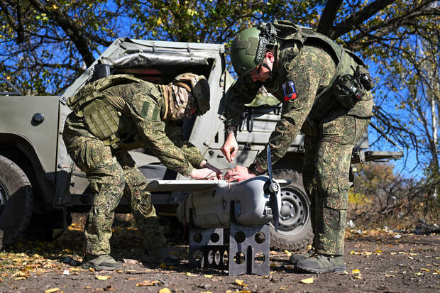 Украинский аналитик Машовец испугался "боевой саранчи" ВС РФ