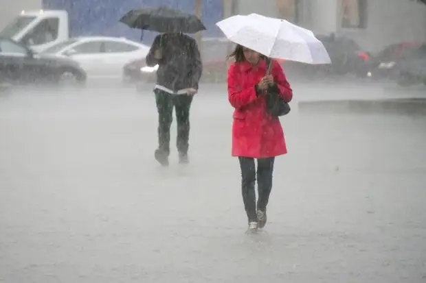 Ветер повалил в Москве более 30 деревьев, повреждены автомобили