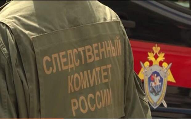 В Нижегородской области нашли останки пропавшей 8 лет назад девочки