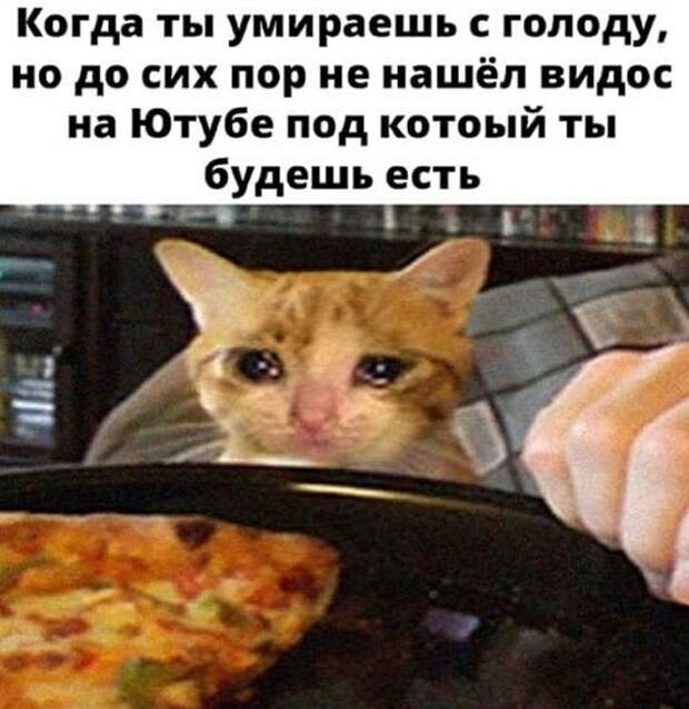 Прикольные и смешные картинки