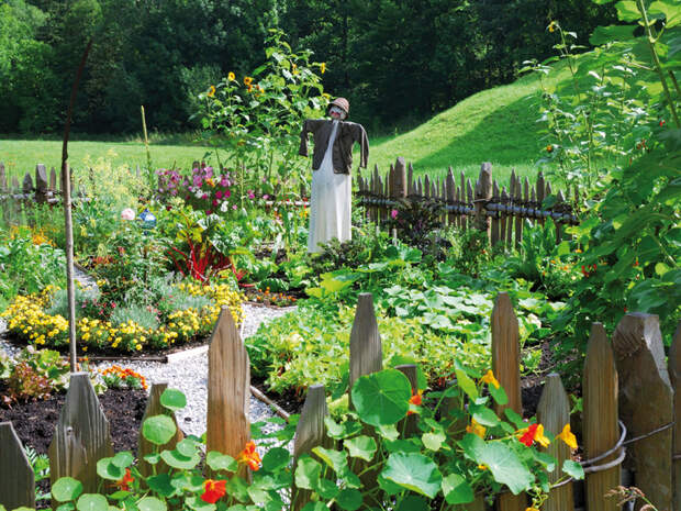 Огород на скорую руку: Нетрадиционный способ быстрого освоения садового участка