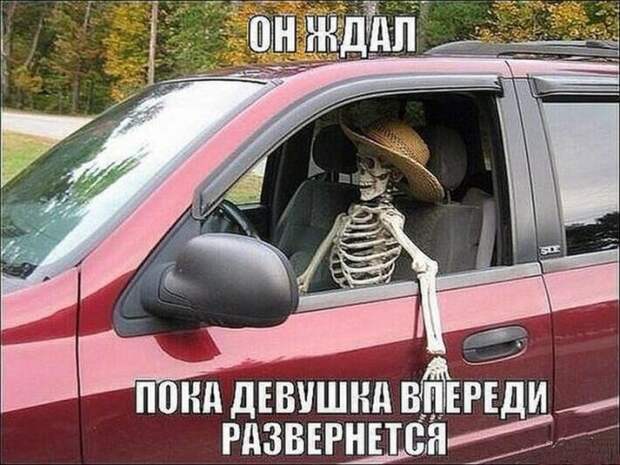 Прикольные картинки