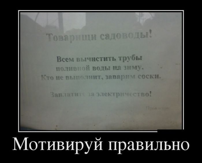 Демотиваторы (30 фото)