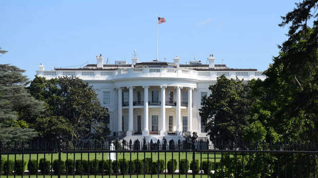 Бывший член Конгресса США Габбард заявила о планах Белого дома установить диктатуру