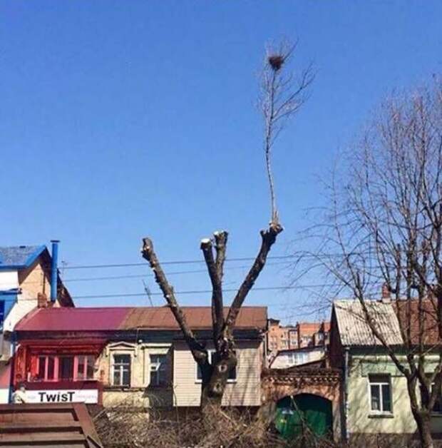 Забавные фотографии и смешные картинки из жизни (11 фото) Забавные фотографии и смешные картинки из жизни (11 фото)