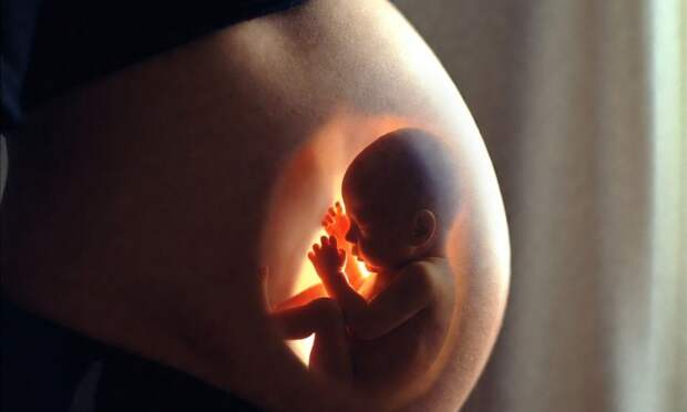 Новый неинвазивный тест для беременных теперь доступен в рамках ОМС