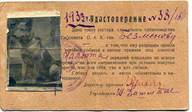 Дуэль русской собаки и немецкого пса
