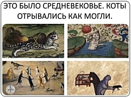Картинки с надписями, истории и анекдоты