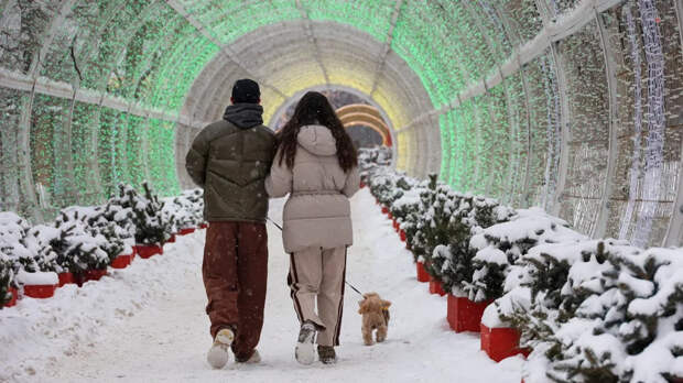 Позднякова: в выходные москвичей ждут сильные морозы и пронизывающий ветер