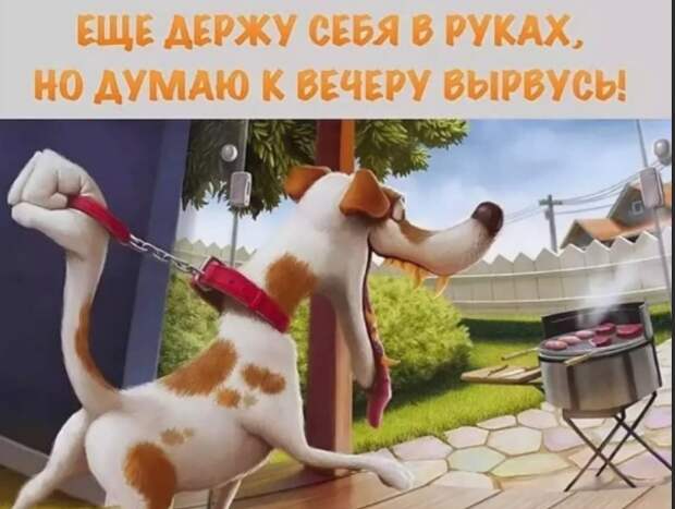 Гороскоп на сегодня 11 апреля. Все знаки. Девиз дня – "Воздержитесь от суеты и новых инициатив".