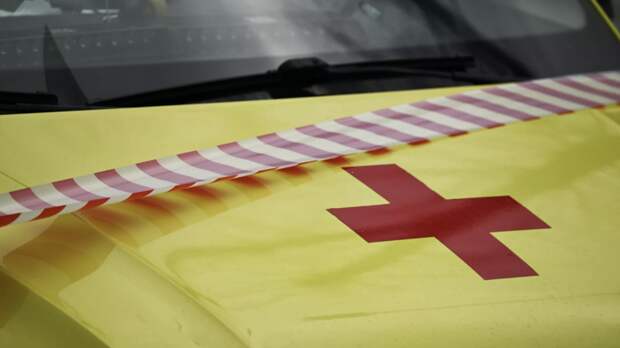 В Запорожской области из-за атаки БПЛА ВСУ пострадал мужчина