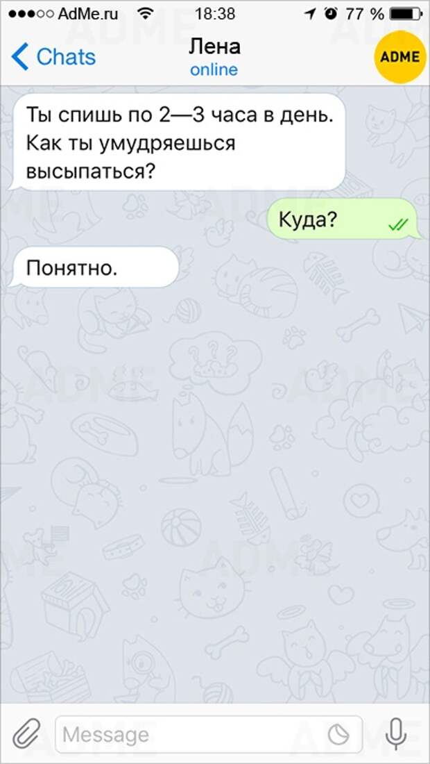 Спишь переписка. Спишь сообщение.