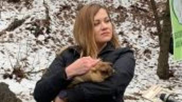 Сурок Тимка предсказал раннюю весну