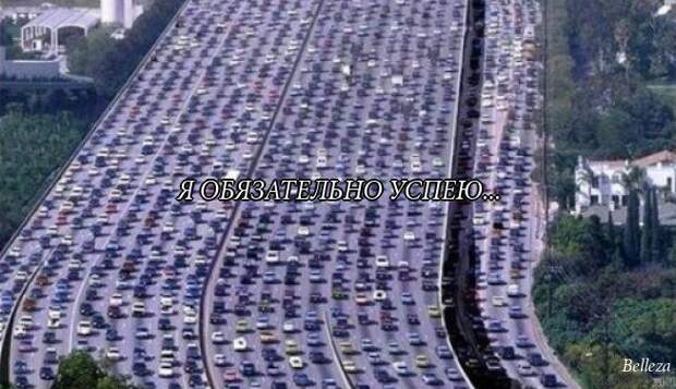 Прикольные цитаты в картинках (42 фото)