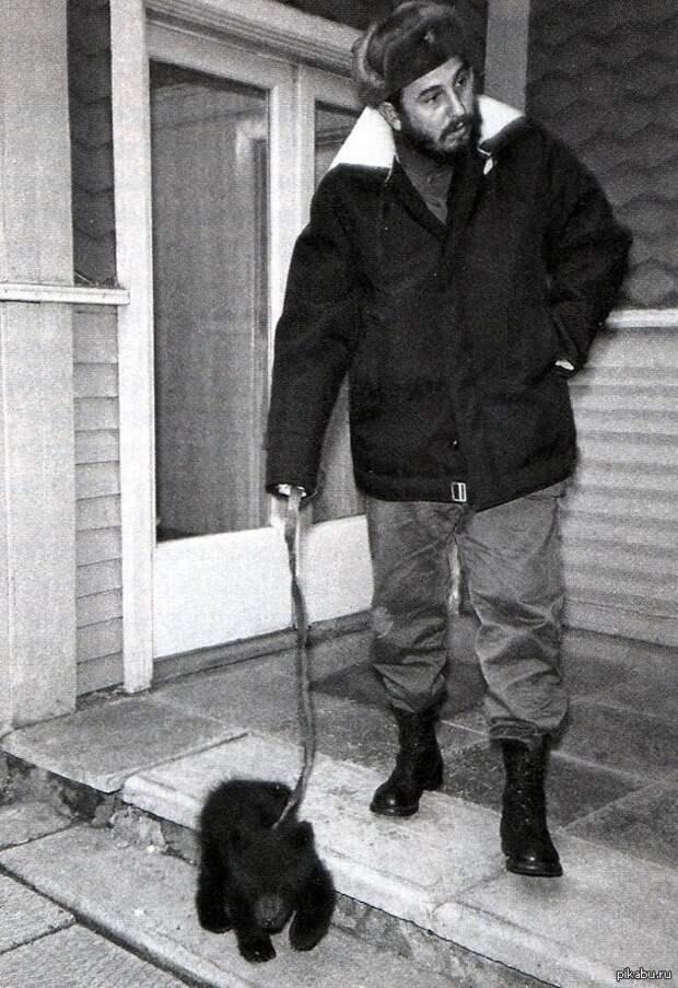 Фидель Кастро с подаренным ему медвежонком, Иркутск, 1963 