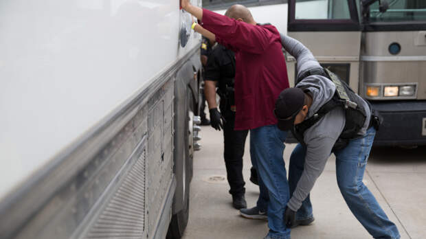 Хотел порадовать детей: безработный отец попался на краже 180 кг авокадо