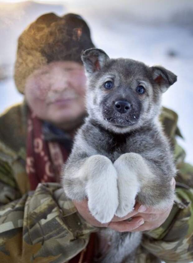 Добро пожаловать в самое холодное место на земле, где температура может упасть до –71°С! Добро пожаловать в самое холодное место на земле, где температура может упасть до –71°С!