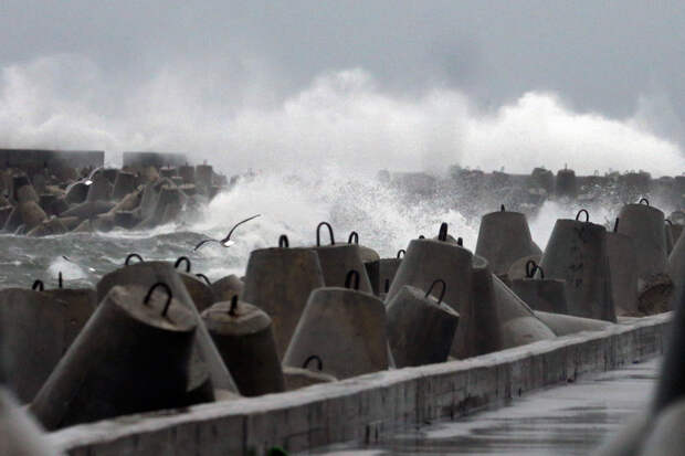 Жителей российского региона предупредили об урагане
