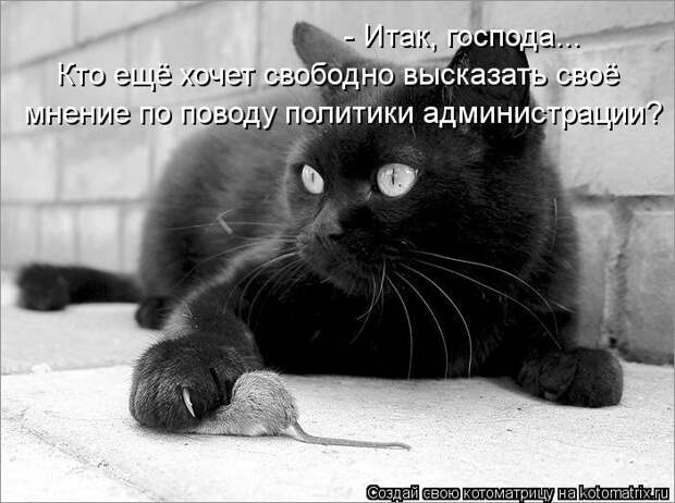 Котоматрица: - Итак, господа...  Кто ещё хочет свободно высказать своё мнение по поводу политики администрации?