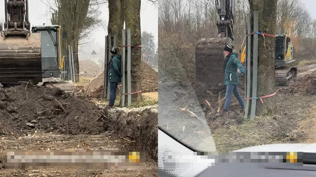 Активист встал перед техникой, чтобы спасти дерево от вырубки