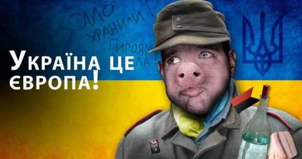 В Европарламенте «разрушили» мечту Украины | Русская весна