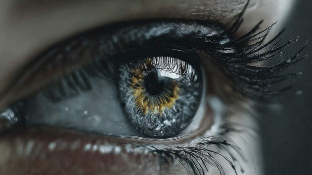 Ячмень или халязион: как распознать заболевание глаза и не навредить себе