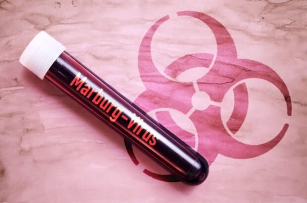 Ученые обеспокоены вирусом из Африки, вызывающим кровоизлияние в глаза