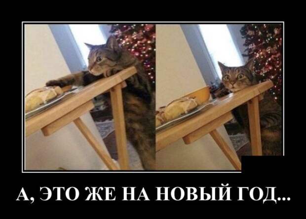 Демотиваторы (30 фото)