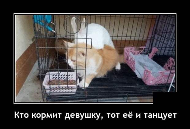 Демотиваторы Демотиваторы