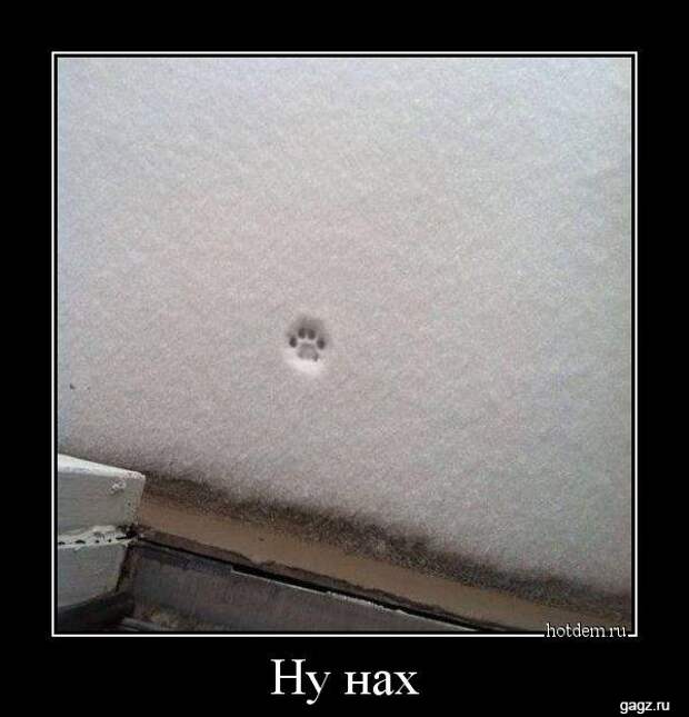 demotivators_funny_pics_gagz_ru_001189