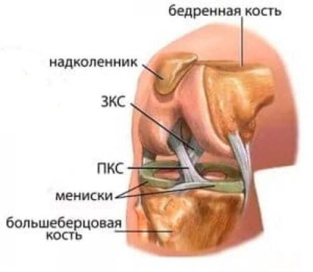 Разрыв мениска продольный. Разрыв мениска: причины и ход заболевания 03