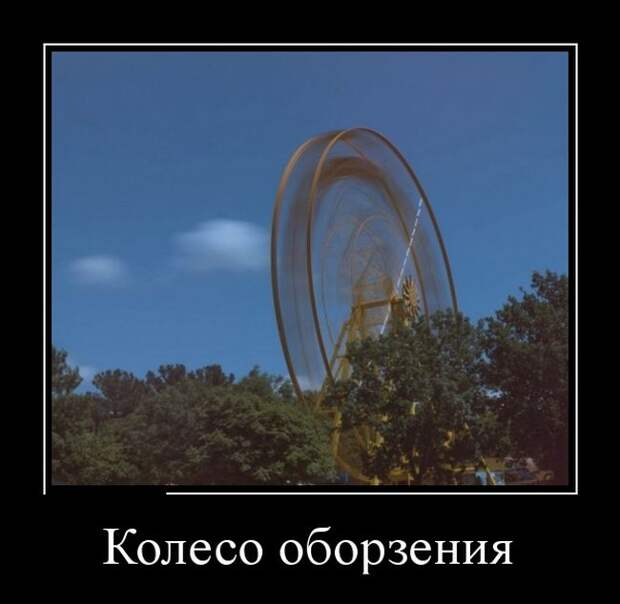 Демотиваторы (30 фото)