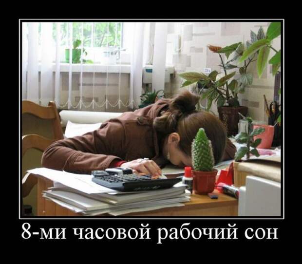 Демотиваторы (30 фото)