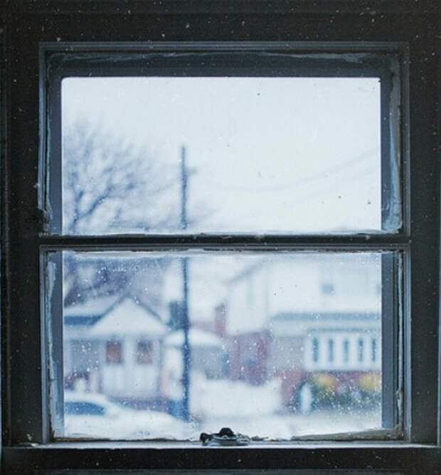 Инстаграм недели: новогодние окна Новосибирска