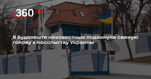 В Будапеште неизвестные подкинули свиную голову к посольству Украины