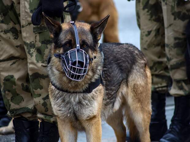 После поездки с незнакомцами в Тюмени ищут пропавшего 25-летнего Данила Дёмина