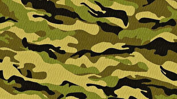 Военный комиссар обратился к призывникам ВАО alt
