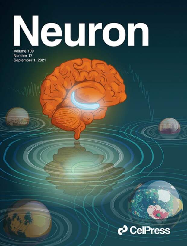 Нейросентябрь в журнале Neuron