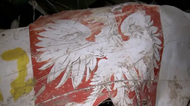 Сенатор: Россия не выдаст Польше диспетчеров по делу Качиньского