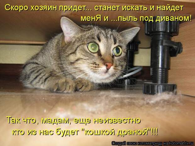1474017309_kotomatricy-23
