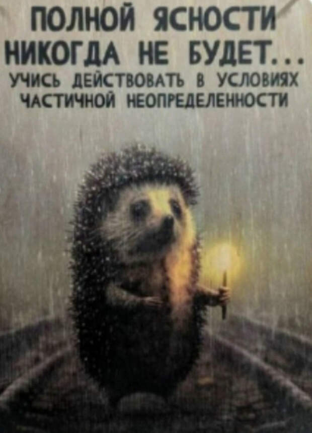 Без названия