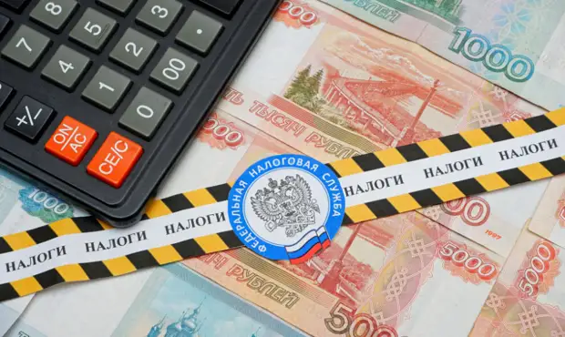 Эксперт рассказал о сроках проверки деклараций ФНС