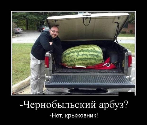 Демотиваторы (30 фото)