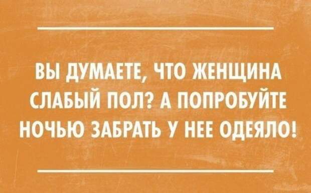 30 забавных открыток под настроение 30 забавных открыток под настроение