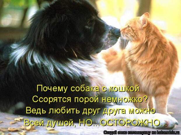 Мысли вслух :)
