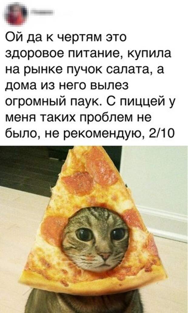 Всякости из ваших энторнетов