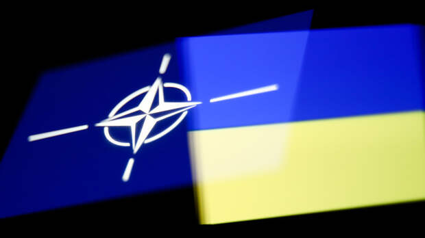«По пути милитаризации»: как в НАТО призывают страны блока обеспечить Украину оружием в ущерб собственной безопасности
