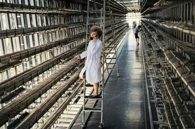 Монтер-комсомолка Люда Исаева проверяет соединения линейного кабельного оборудования, 1973 год.