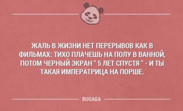 Жаль только жить в эту. Смешные афоризмы про власть. Цитаты про отдых. Смешная фраза камеди. Жаль в жизни нет перерывов.