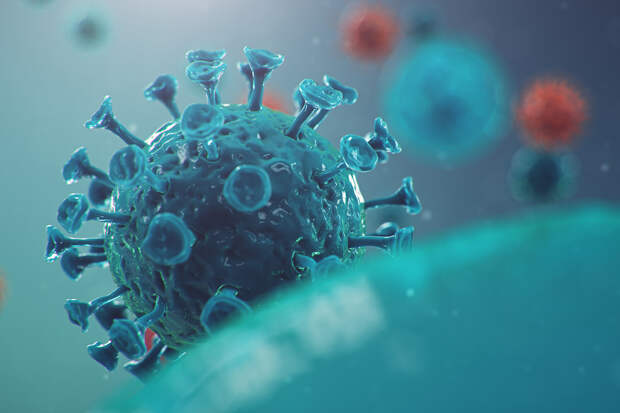 Учёные выявили ещё одно опасное последствие коронавируса